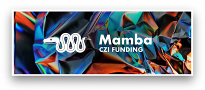 Illustration for the blog post.